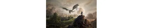 توسعه بازی The Elder Scrolls 6 حداقل پنج سال دیگر طول میکشد