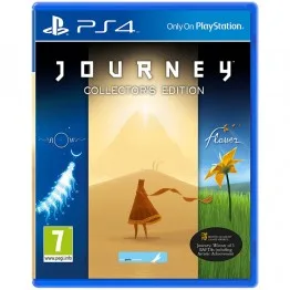 خرید کیف ضدضربه PS4 - طرح Red Dead Redemption 2