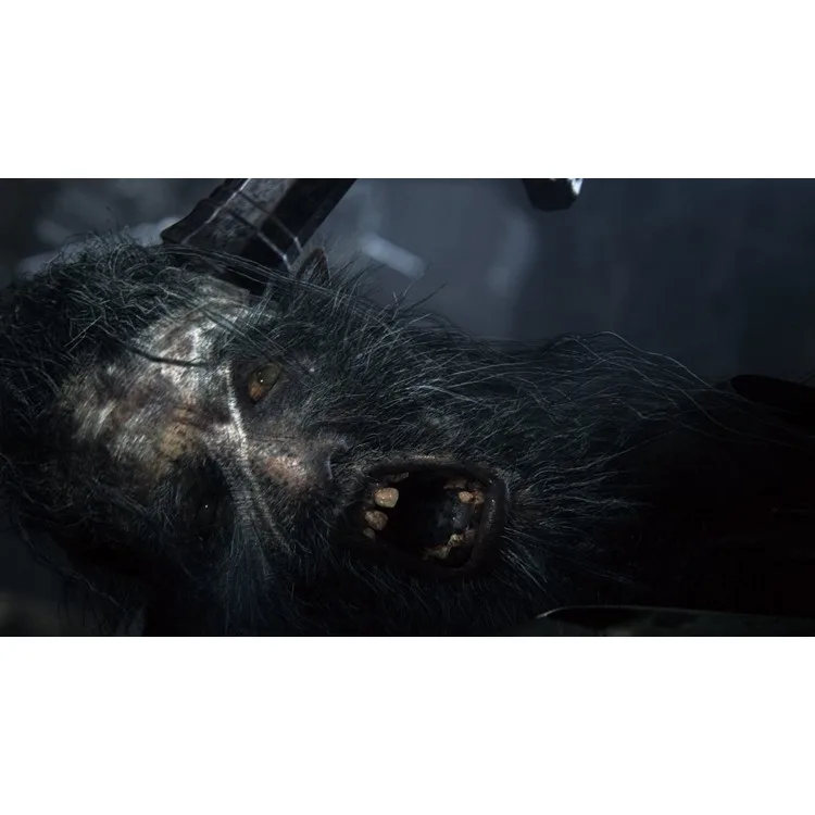 Bloodborne Game of the Year Edition - PS4