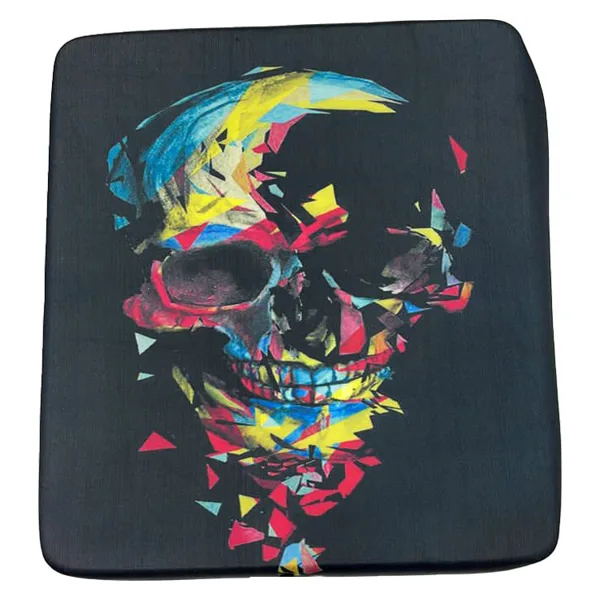خرید کیف ضدضربه PS4 Pro - طرح Skull
