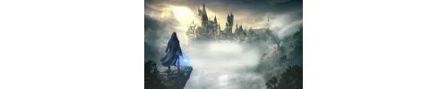 راهنمای انتخاب گروه در بازی Hogwarts Legacy