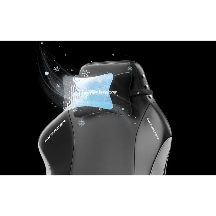 خرید صندلی DXRacer Prince 2025 - سیاه/سفید