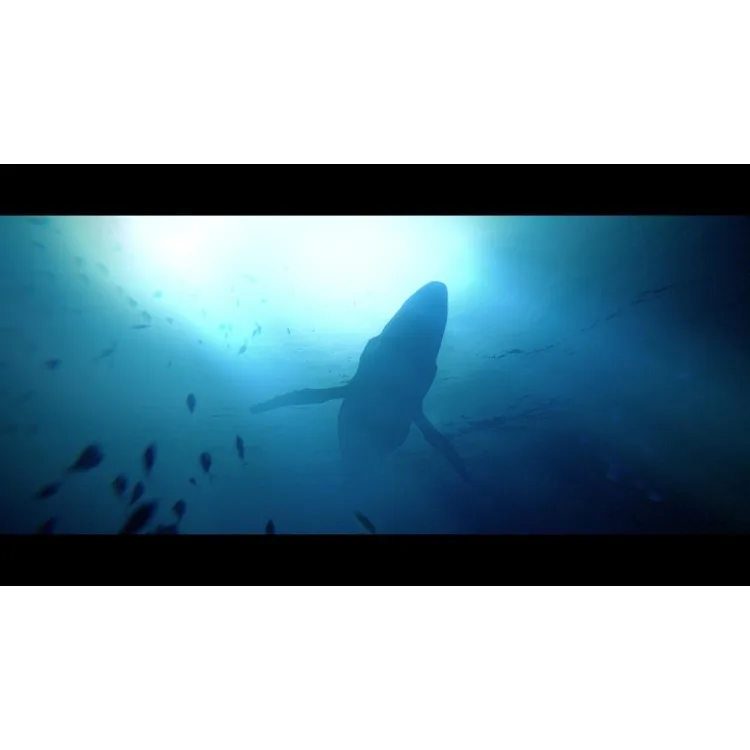 خرید بازی Under the Waves برای PS5