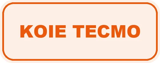 Koie Tecmo