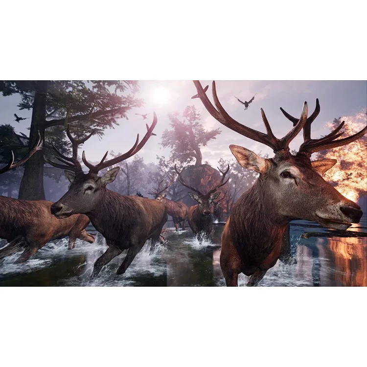 خرید بازی Away: The Survival Series برای PS5