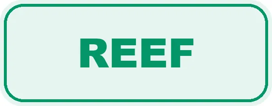 reef