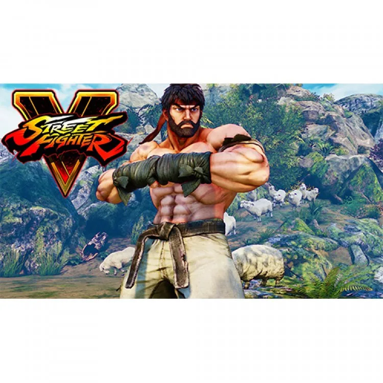 خرید Street Fighter V - R2 - PS4