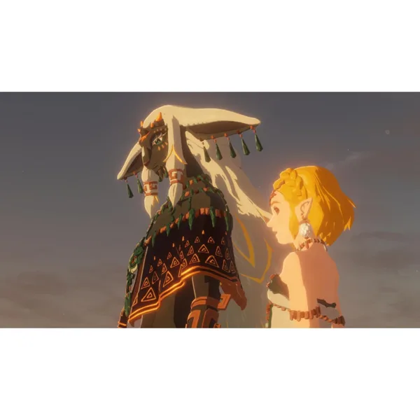 خرید بازی Hyrule Warriors: Age of Imprisonment برای نینتندو سوییچ 2
