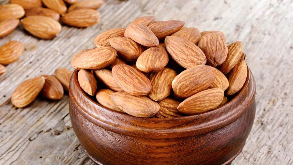 خرید نهال بادام با تضمین کیفیت: چقدر قیمت مهم است؟