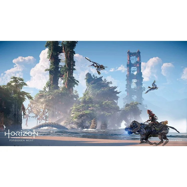 خرید بازی Horizon Forbidden West نسخه کالکتور