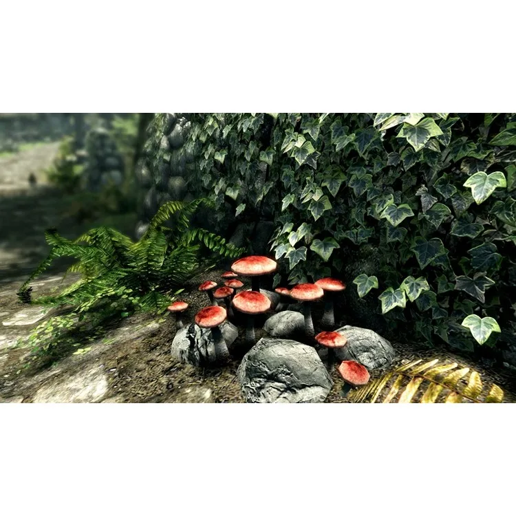 خرید بازی The Elder Scrolls V: Skyrim برای نینتندو سوییچ