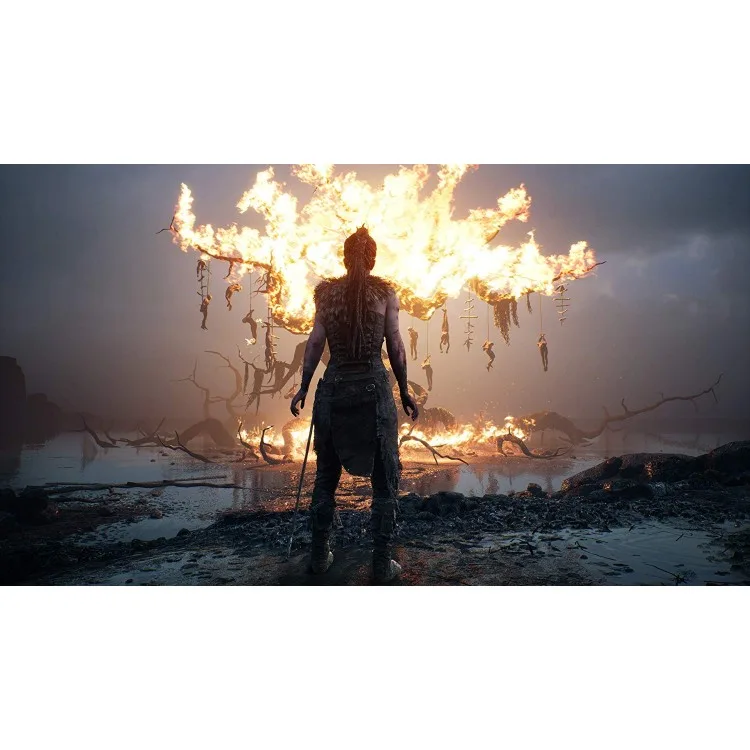 خرید Hellblade: Senua's Sacrifice - R2 - PS4 - کارکرده