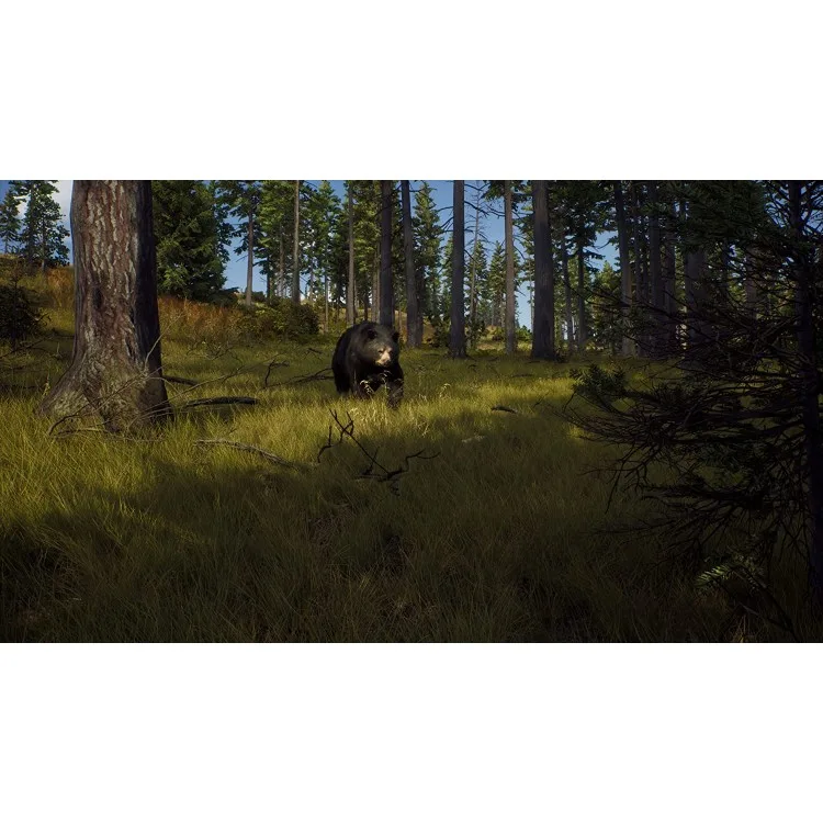 خرید بازی Way of the Hunter: Hunting Season One برای PS5