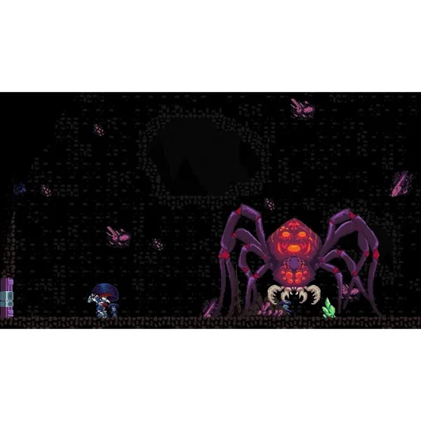 خرید بازی Chronicles of 2 Heroes: Amaterasu's Wrath نسخه کالکتور برای نینتندو سوییچ