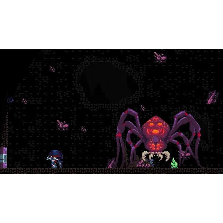 خرید بازی Chronicles of 2 Heroes: Amaterasu's Wrath نسخه کالکتور برای نینتندو سوییچ