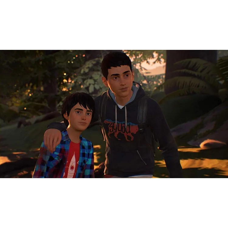 خرید بازی Life is Strange 2 برای PS4 کارکرده